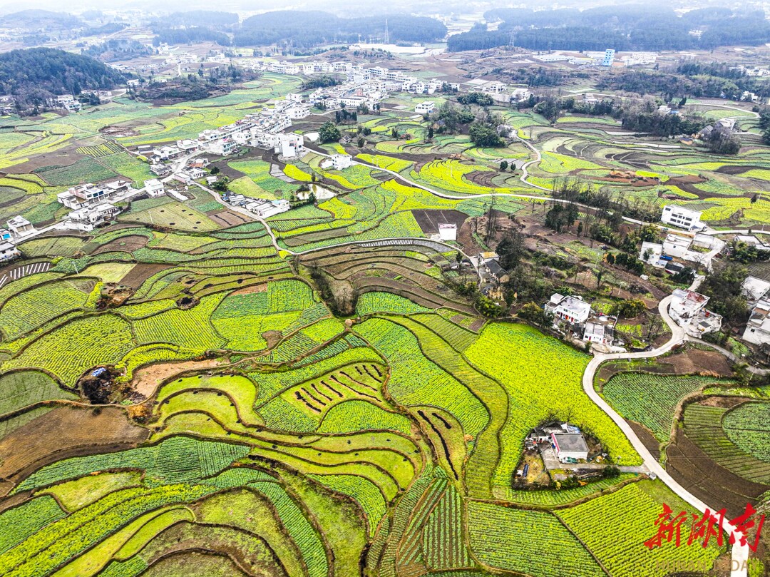 湘渝冀浙黔五省市党报联动探访当地乡村学用“千万工程”经验、引领山乡巨变的生动实践——“千”种风光 “万”般姿态(图10)